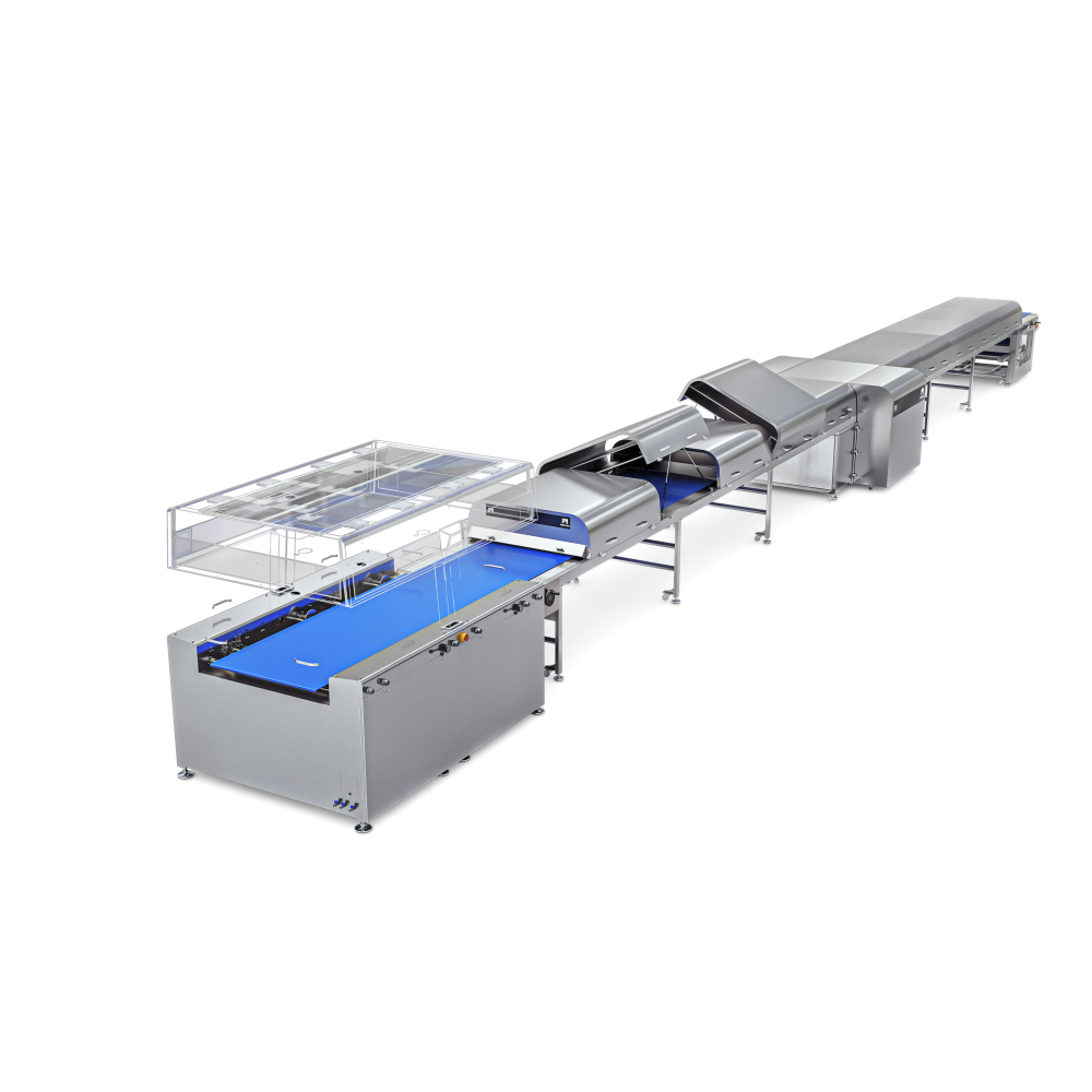 Biscuit Lines & Wrapping