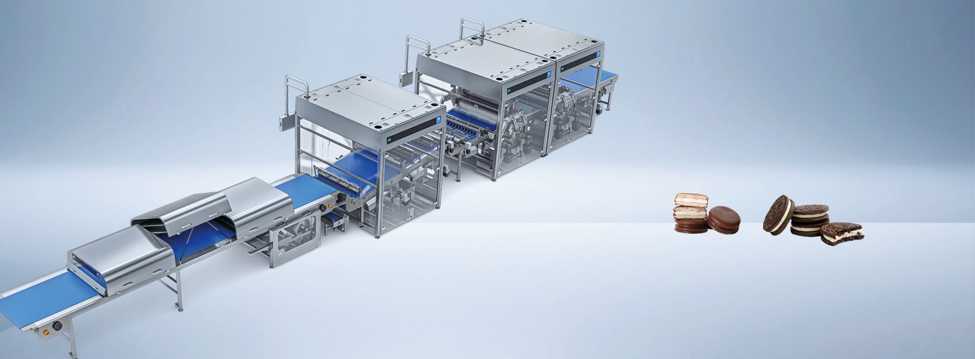 Biscuit Decoration and Wrapping